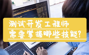 优秀的测试开发工程师需要掌握哪些技能？